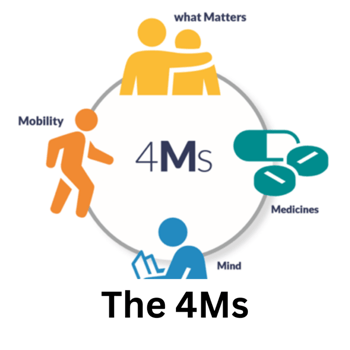 The 4 Ms