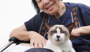 Senior lady with cat